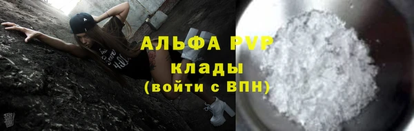 ГАЛЛЮЦИНОГЕННЫЕ ГРИБЫ Вязники