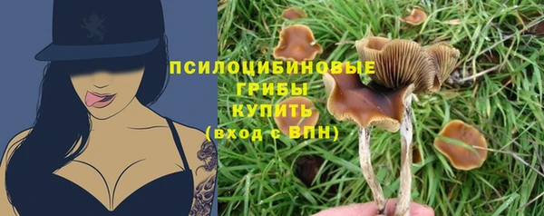 амф Вязьма