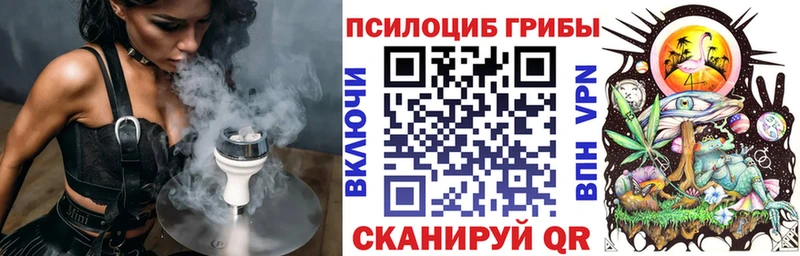 Псилоцибиновые грибы Cubensis  маркетплейс официальный сайт  Данилов  что такое  